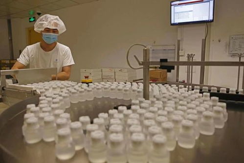 GE醫療堅定扎根中國信心，以更大規模參展第五屆進博會